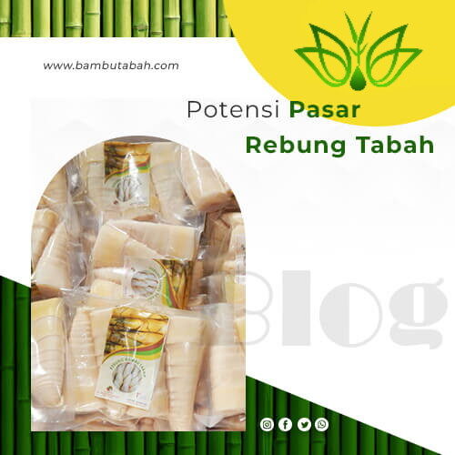 potensi-pasar-rebung-tabah rev