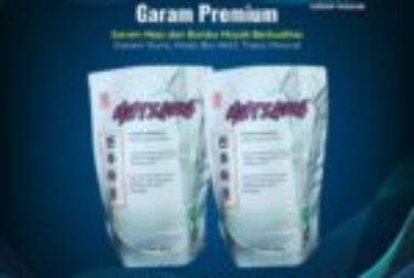 garam premium 500g